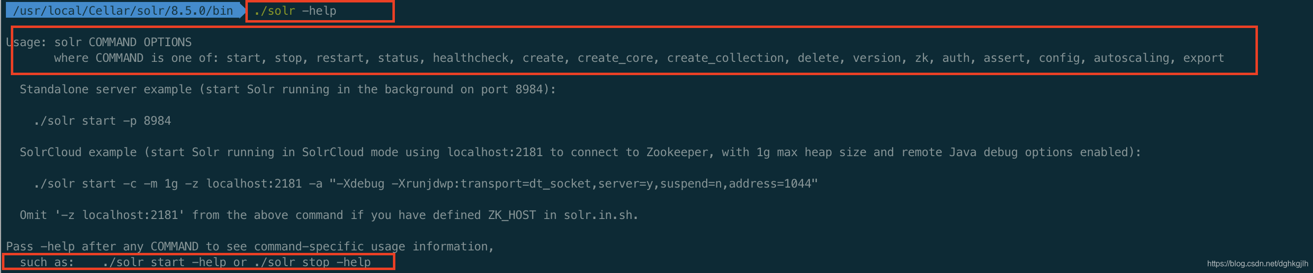 终端通过 curl 调用 Solr API 的示例