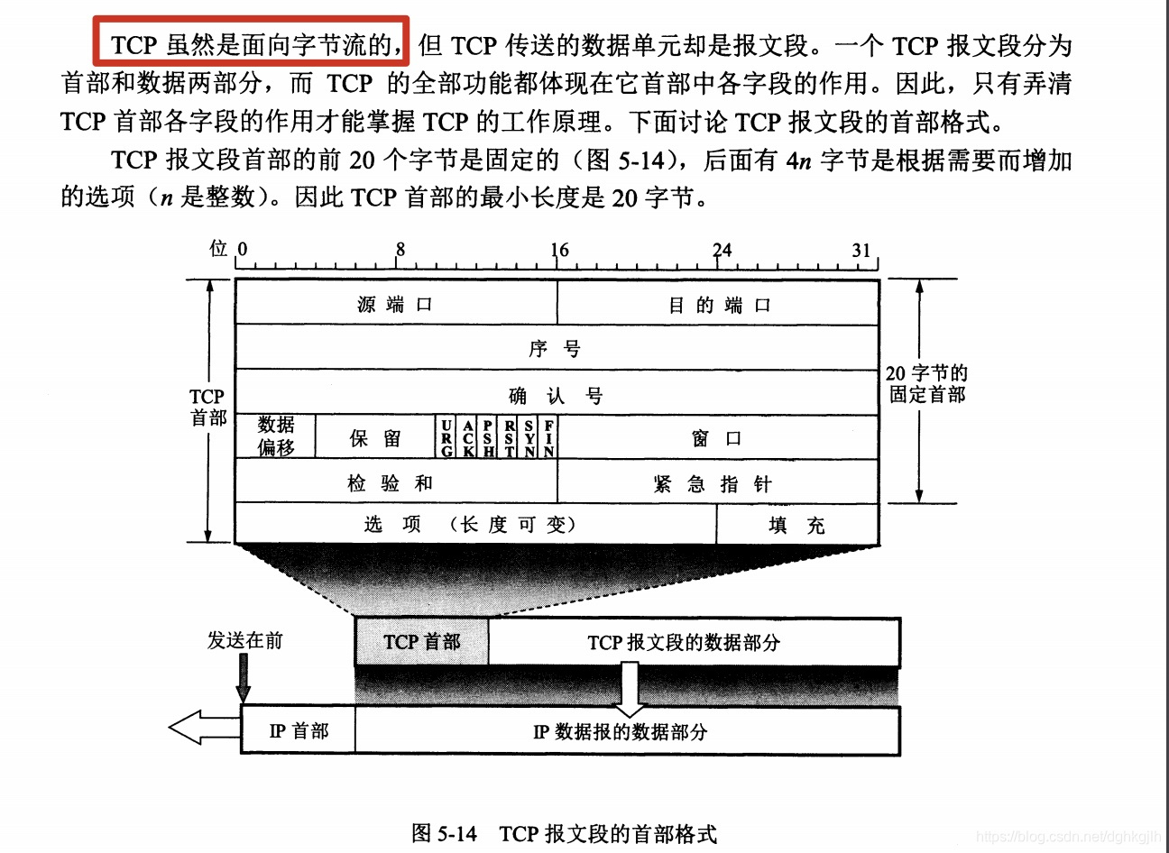 TCP 报文段首部字段及可变长度首部结构