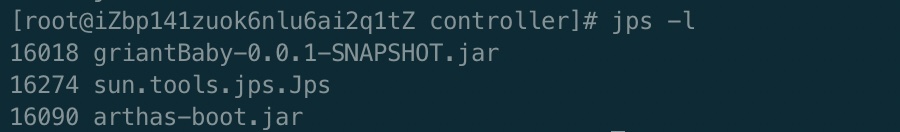 Java process IDs and main classes or JARs in jps -l output