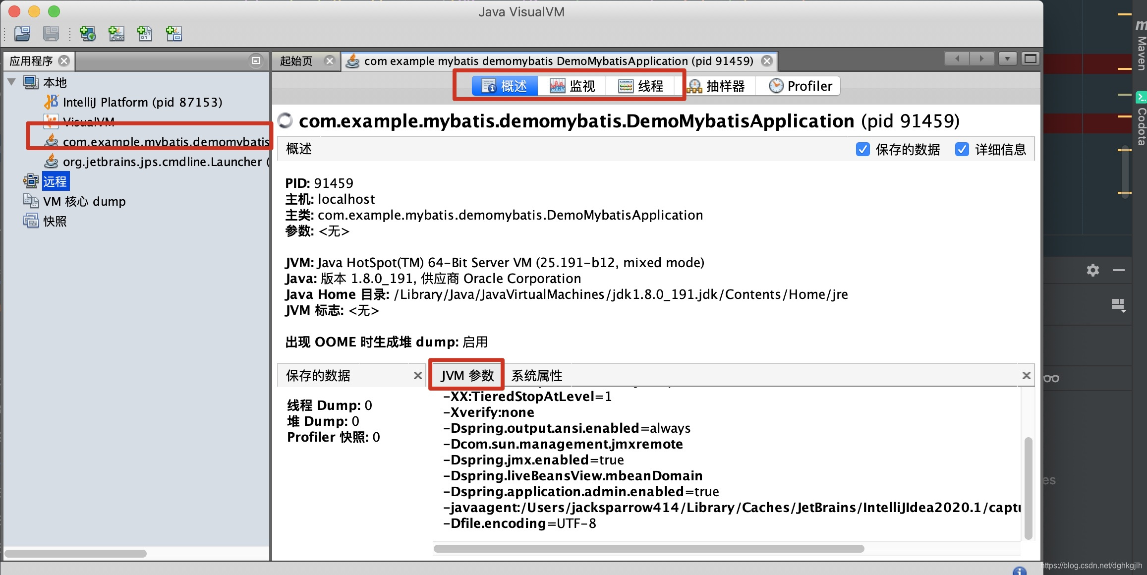 VisualVM 连接本地 Java 进程并显示 JVM 概览信息