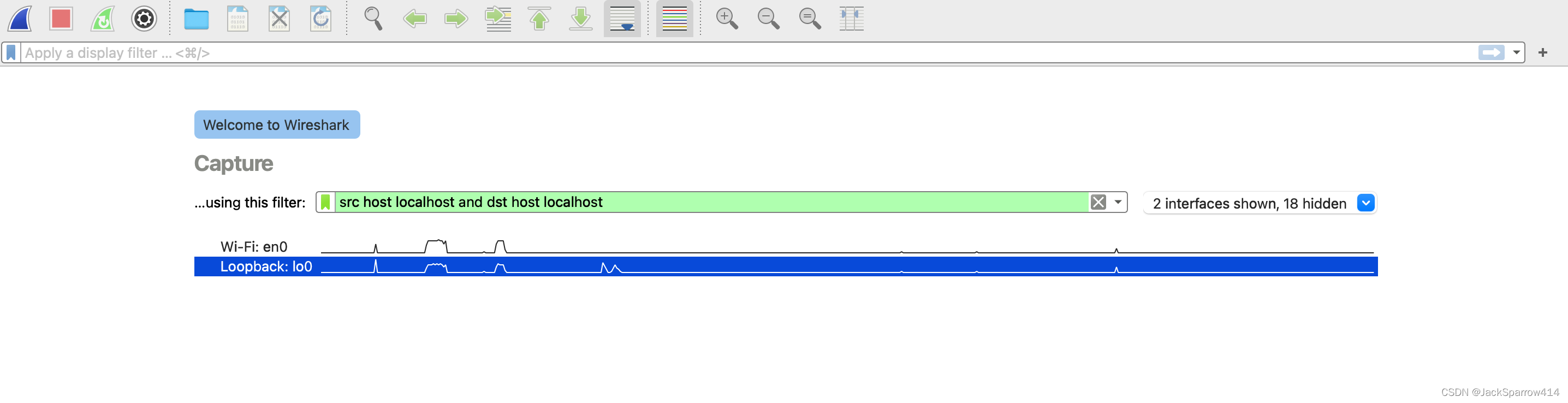 Wireshark 欢迎页中为回环接口设置捕获过滤器