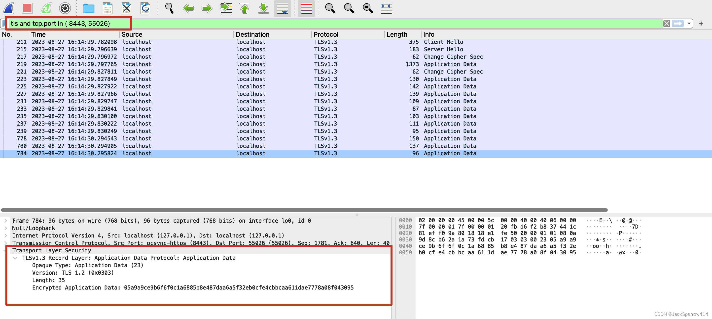 Wireshark 中 HTTPS 报文仅显示加密的应用数据