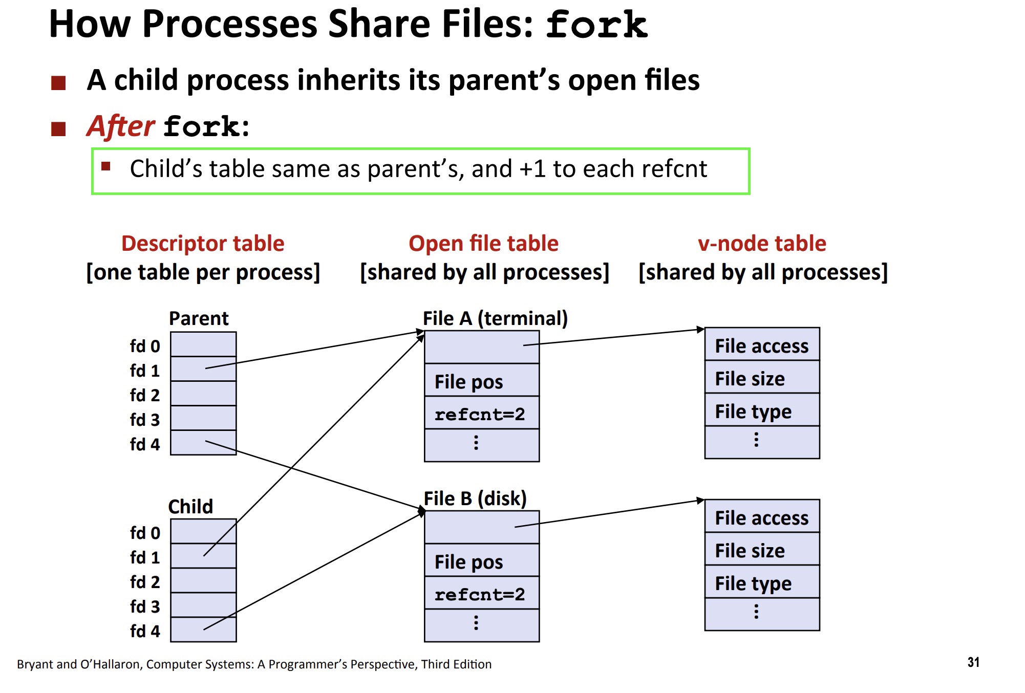 Parent and child file descriptors sharing open file table entries after fork, increasing reference counts